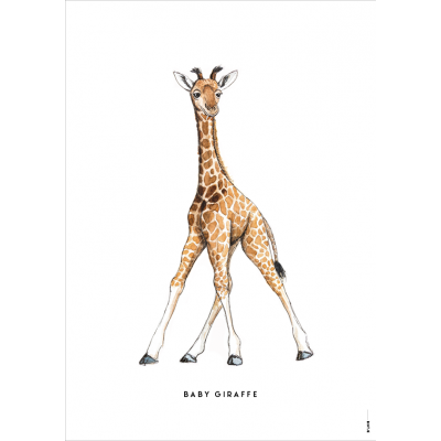 Poster Baby Giraf - 6 stuks